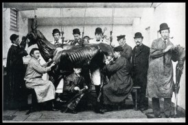 Anonyme, École vétérinaire à Utrecht, 1870.