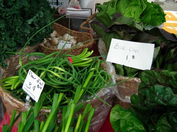 Les productions maraîchères et biologiques ne sont pratiquement pas soutenues par l'État 