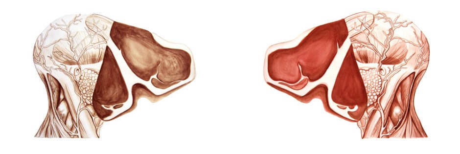 Universal-Constructs_1000